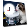 Automatic Circulating Water Fountain for Cats — Pet Hydration Solutions, Pet daily necessities