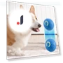 Automatic Moving Dog Toy Ball — Automatic Launchers, Pet daily necessities
