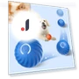 Automatic Moving Jumping Rolling Ball — Automatic Launchers, Pet daily necessities