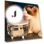 Automatic Silent Pet Water Fountain — Fountains, Pet daily necessities