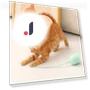 Electric Cat Teaser Stick — Cat Playthings, Pet daily necessities