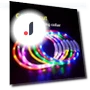 LED Pet Collar — Collars, Smart Pet Supplies