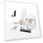 LED Skin Rejuvenation Mask — Sets & Kits, Binchi Health Technology