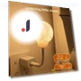 Smart Moon Night Light with Voice Control and Timer — Night Lights, Got Now