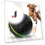 Smart Self-Bouncing Interactive Dog Ball — Balls, Pawstrip