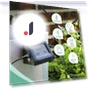 Smart WiFi Watering Device with Dual Pump — Automatic Irrigation, COOKING-MALL