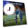 Solar Pendant Light — Outdoor Security & Flood Lighting, Explorer Outdoors