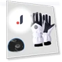 Winter Gloves for Skiing and E-Biking — Gloves & Mittens, Super Case