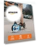 Превью Commuting Electric Scooter — Electric Self-Balancing Scooters, ECOROAD