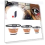 Elizabethan Electronic Pet Collar — Recovery Collars, LY Angel Boutique