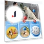 Interactive Pet Ball Toy — Interactive Animal Companions, DODO Beauty