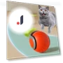 Interactive Pet Toy Ball — Cat Playthings, Household supplies MH