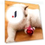Automatic Moving Ball — Cat Playthings, Pet park