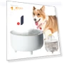 Automatic Pet Water Dispenser — Feeding Supplies, Storage Space MALL