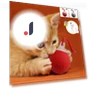 Automatic Rolling Ball for Cats — Cat Playthings, YJMP Top