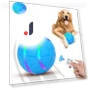Automatic Rolling Ball Toy for Dogs — Automatic Launchers, shenglian