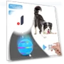 Automatic Rolling Ball Toy for Dogs — Balls, Skin & Sun Care