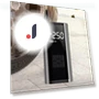 Digital Air Pump — Inflation Devices, Carsun