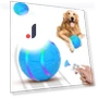 Electric Rolling Ball Toy for Dogs — Automatic Launchers, jiandandian