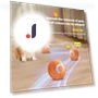 LED Pet Rolling Ball — Interactive Animal Companions, BestDealJoy