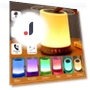 RGB Touch Bedside Lamp with Bluetooth Speaker — Night Lights, SaiMili Light