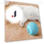 Smart Ball Interactive Cat Toy — Balls, Simple and warm