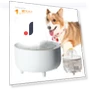 USB Electric Silent Pet Drinking Bowl — Feeding Supplies, Fun Living Room MALL