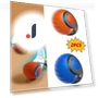 Interactive Pet Toy Ball — Interactive Animal Companions, YJMP Top