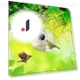 Smart Bird Feeder with Night Vision Camera — Outdoor & Wildlife Cameras, I love My Pet