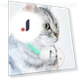 Smart teasing collar for cats — Cat Playthings, mujin