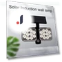 Solar Power Sensor Light — Garden Illumination, Blackcurrant