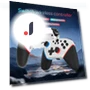 Wireless Controller for Switch — Gaming Controllers, Dream Garage