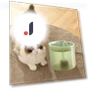 Electric Cat Water Fountain — Pet Hydration Solutions, Fujeenn