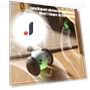 Interactive Smart Toy for Cats — Cat Playthings, The Secret Life of Pet