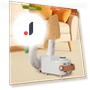 Smart Shoe Dryer — Shoe Dryers, Amouage