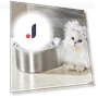 Automatic Pet Water Dispenser — Fountains, Beiheli Electronic