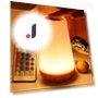 Creative Wooden Touch Remote Control Lamp — Creative Lighting Solutions, JOHO - CarGear