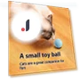 Automatic Rolling Ball Pet Toy — Interactive Animal Companions, Wotypea
