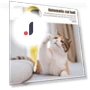Door Hanging Electric Cat Feather Toy — Cat Playthings, Hot Women