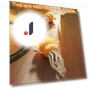 Electric LED Octopus Toy — Interactive Learning Devices, Kitty Cat House