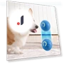 Gravity-Powered Jump Balls for Dogs — Balls, Jinkuinduy