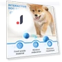 Interactive Pet Toy Ball — Cat Playthings, fanweixi