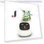 Smart Ivy Pot with LED Screen — Garden Planters, HOGREL