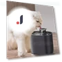 Automatic Circulating Filter Fountain for Pets — Fountains, Darling Home