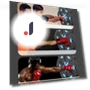 Bluetooth Smart Boxing Trainer — Boxing Training Gear, Sport2ZY