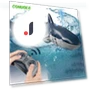 Remote Control Shark Kit Spray Water Toy — Beach Toys, Specials