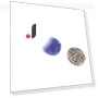 Round Touch Skin Picking Toy — Stress Relievers, Home2ZY
