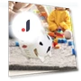 Electric Running Toy for Dogs and Kids — Interactive Animal Companions, Handy Hobbies