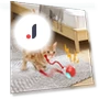 Interactive Self-Moving Electronic Smart Ball for Pets — Interactive Animal Companions, Boyuan