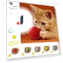Rechargeable Smart Cat Toys Fast Rolling Dog Cat Training Ball — Cat Playthings, nzhboz